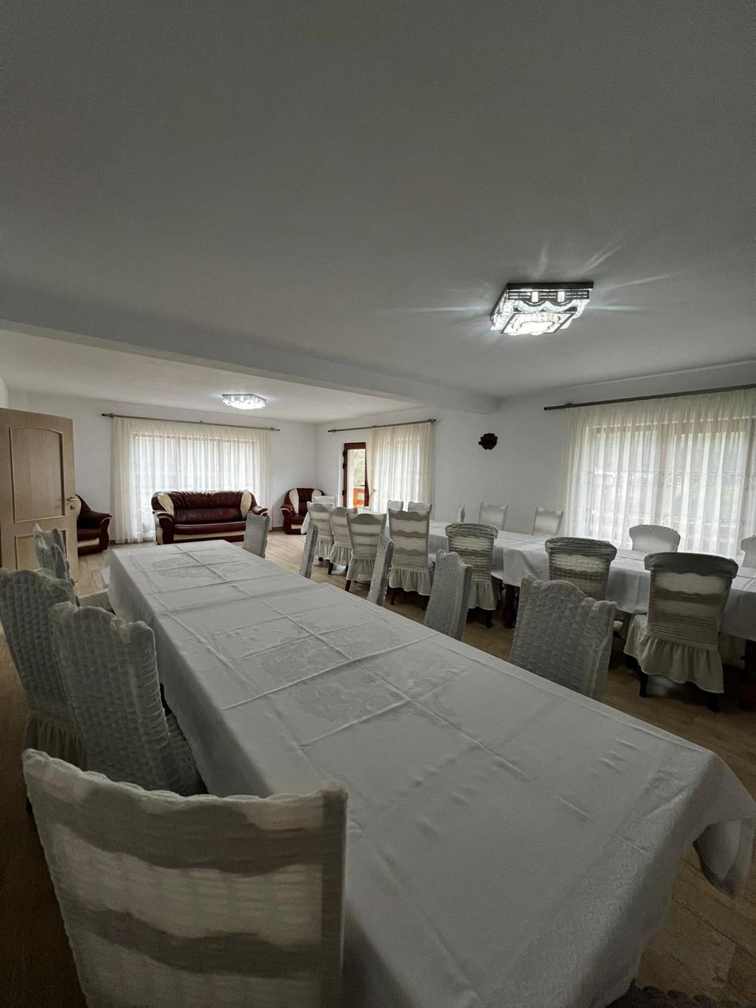 Hotel Casa Bujor De Munte Dragoslavele Extérieur photo