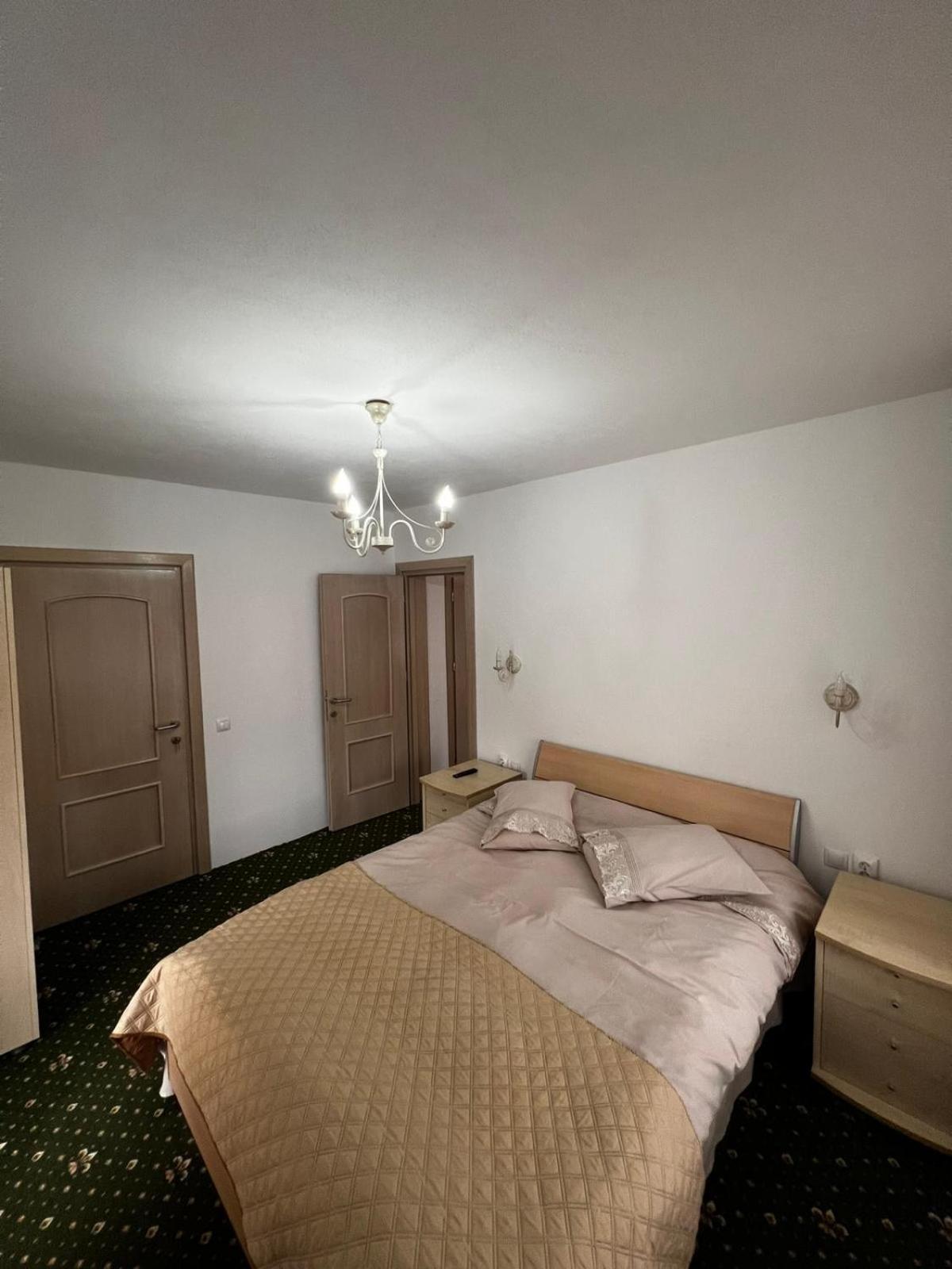 Hotel Casa Bujor De Munte Dragoslavele Extérieur photo
